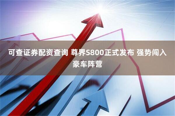 可查证券配资查询 尊界S800正式发布 强势闯入豪车阵营